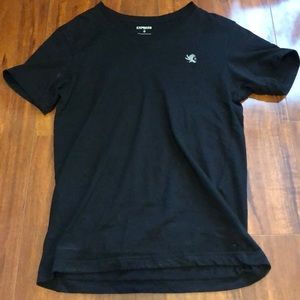 Express V neck shirt